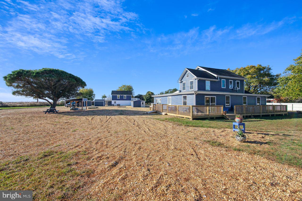 23391 Custom House Road Deal Island, MD 21821 - Photo 53 of 64 Southern View of the Entire Compound