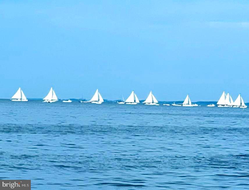 23391 Custom House Road Deal Island, MD 21821 - Photo 62 of 64 Skipjacks lining up for the start of the Race