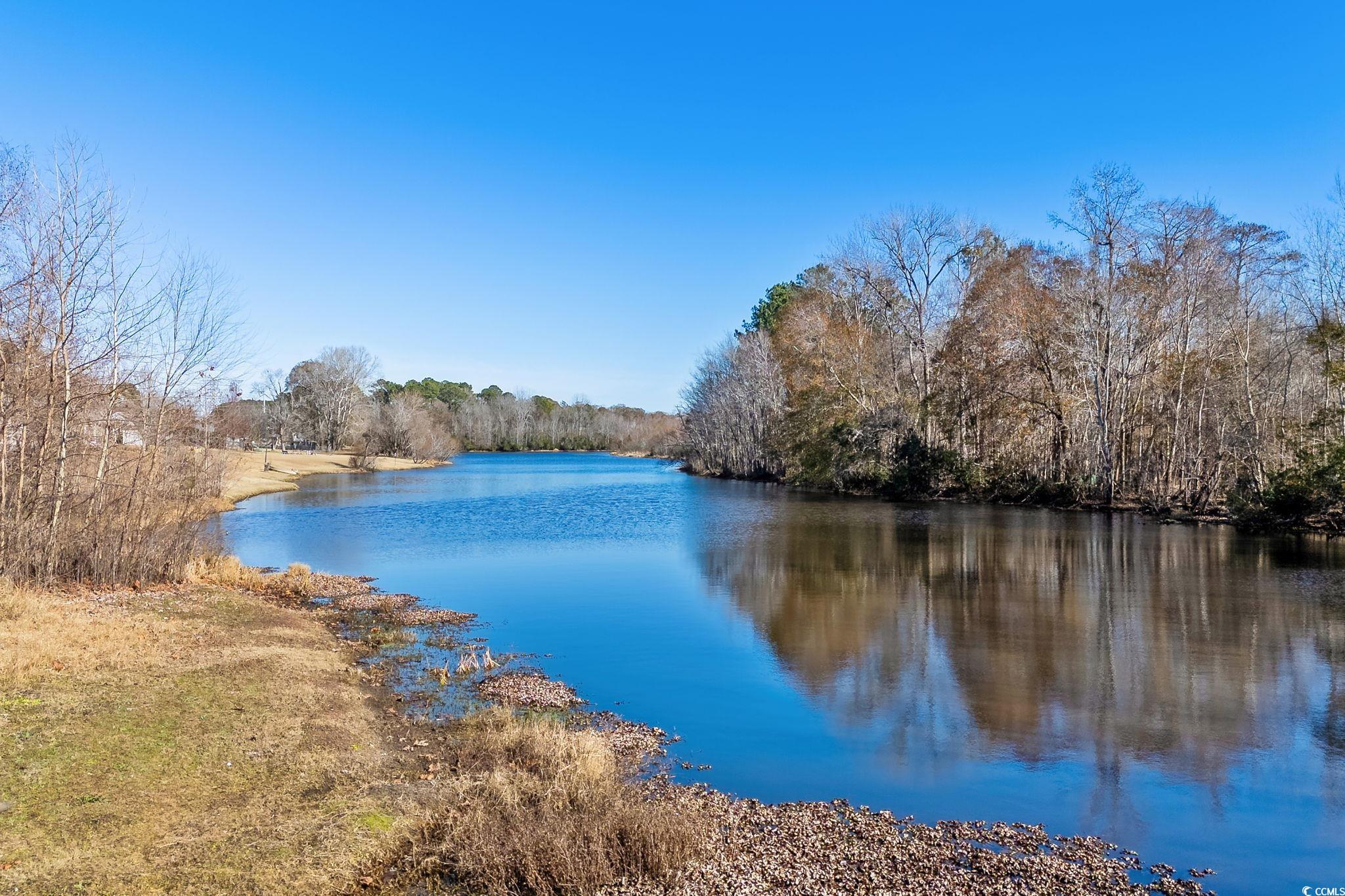3343 New Road Conway, SC 29527 - Photo 5 of 36 Water view with a heavily wooded area