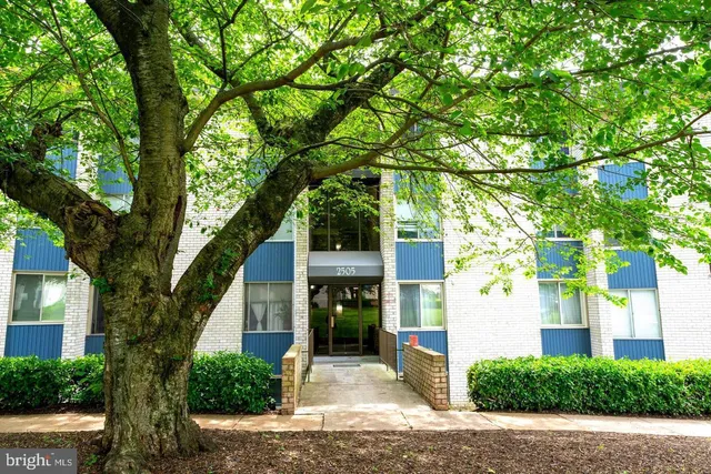 a front view of a house with a tree