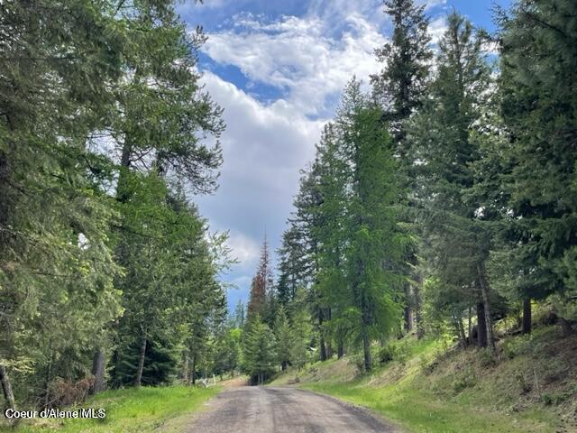 2 West Florida Circle Worley, ID 83876 - Photo 17 of 17 Summer view of Florida circle