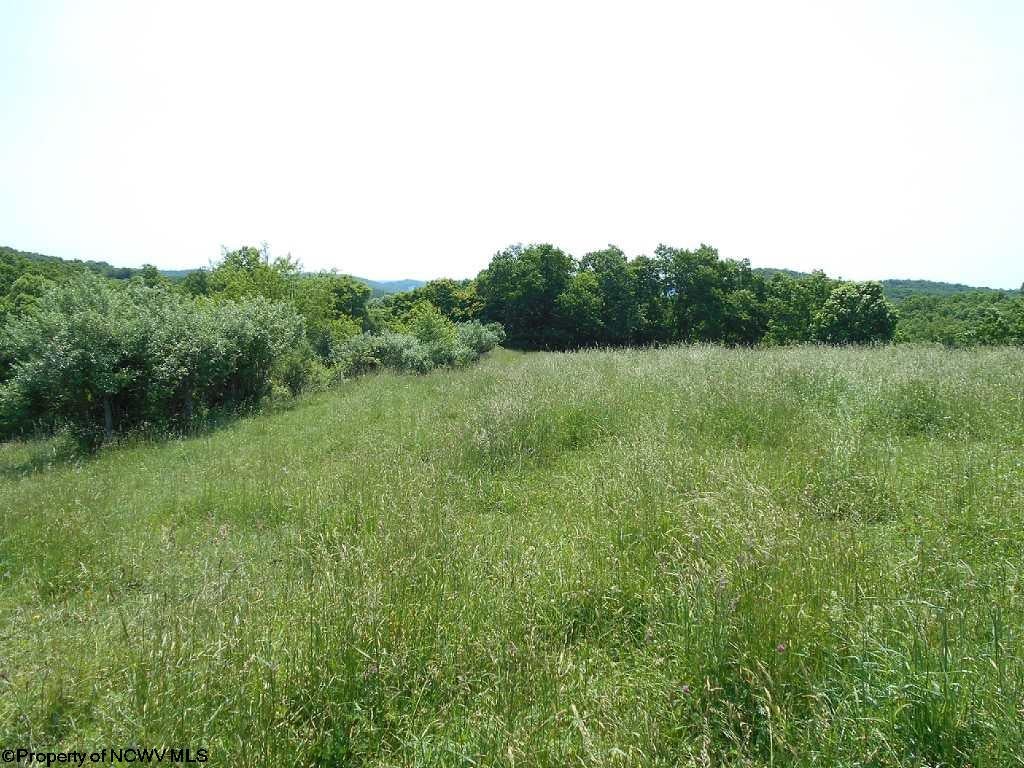 1 Gilman Road Elkins, WV 26241 - Photo 12 of 15 Gallery Image 12