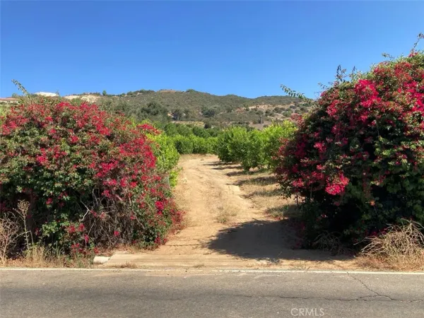 a view of a street with a building in the background