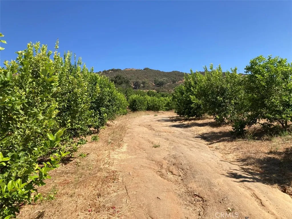 39 Carancho Road Temecula, CA 92590 - Photo 4 of 11
