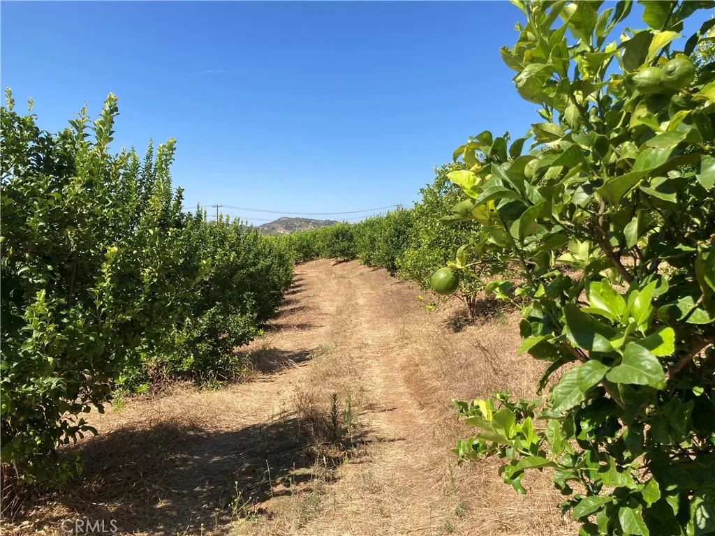39 Carancho Road Temecula, CA 92590 - Photo 9 of 11