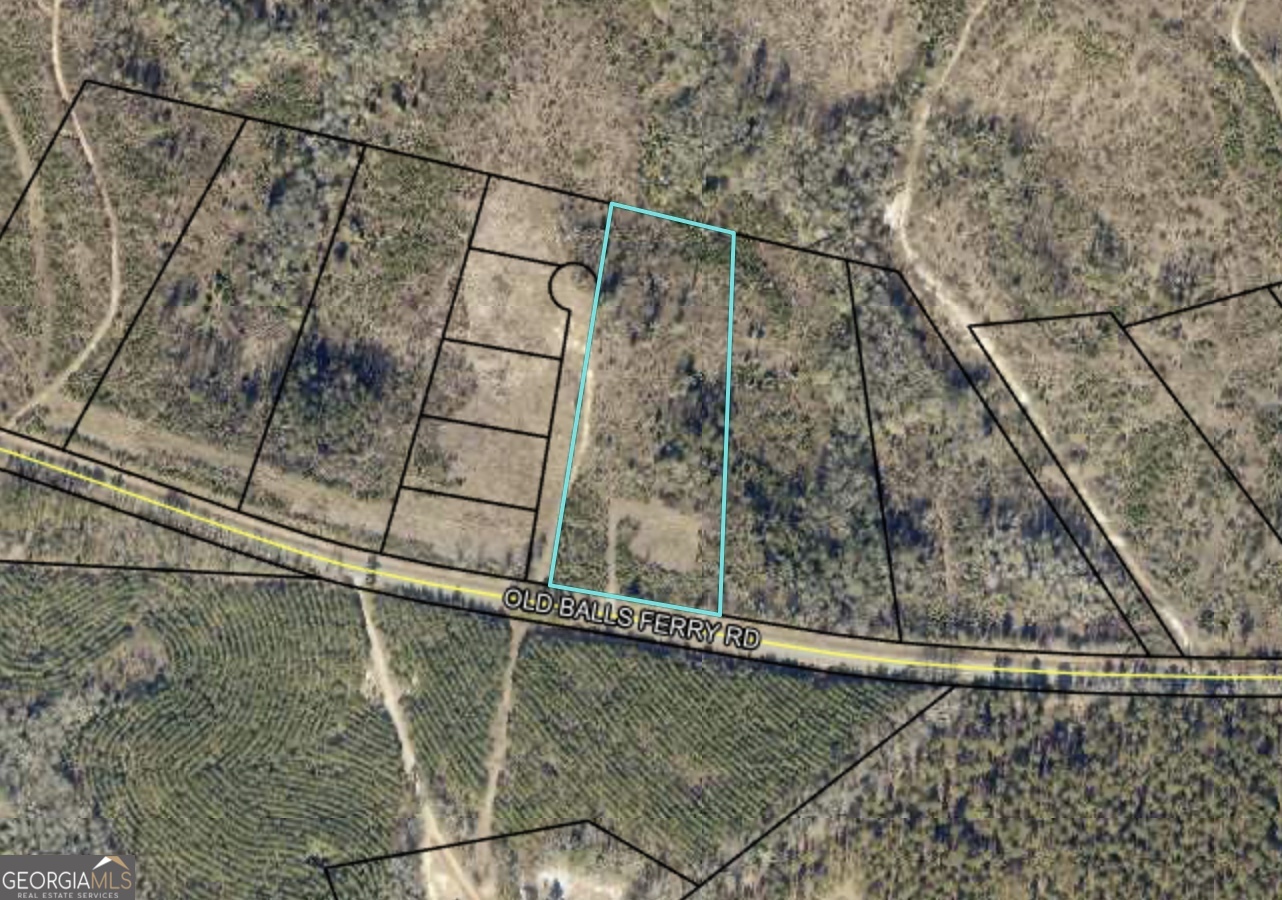 a bathroom with a shower and a glass door