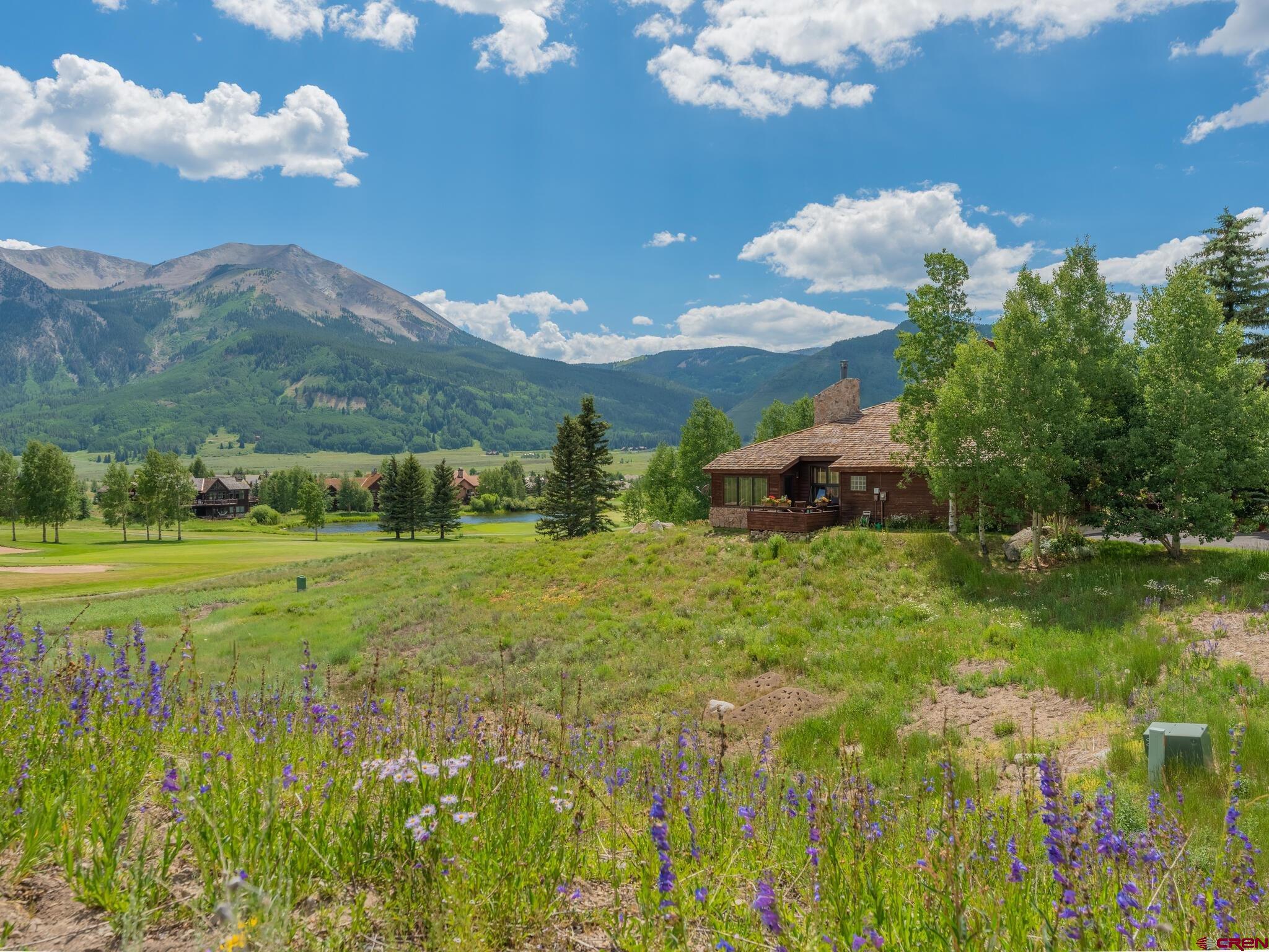20 Par Lane, Unit 1 Crested Butte, CO 81224 - Photo 30 of 34