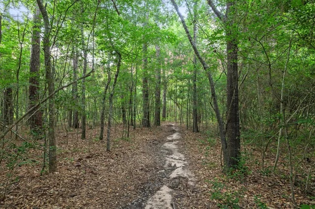 a view of outdoor space and green space