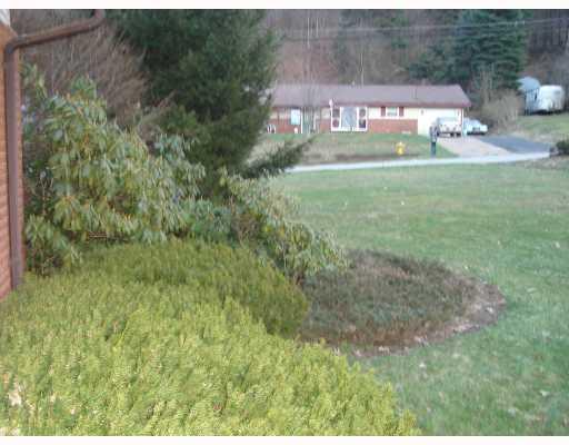 126 Matterhorn Road Monroeville, PA 15146 - Photo 17 of 18 Exterior Front. Attractive shrubbery surround the house