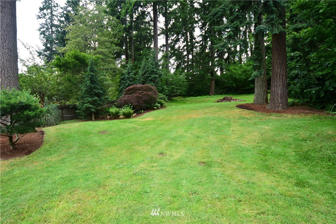 17822 Southeast 146th Street Renton, WA 98059 - Photo 17 of 24