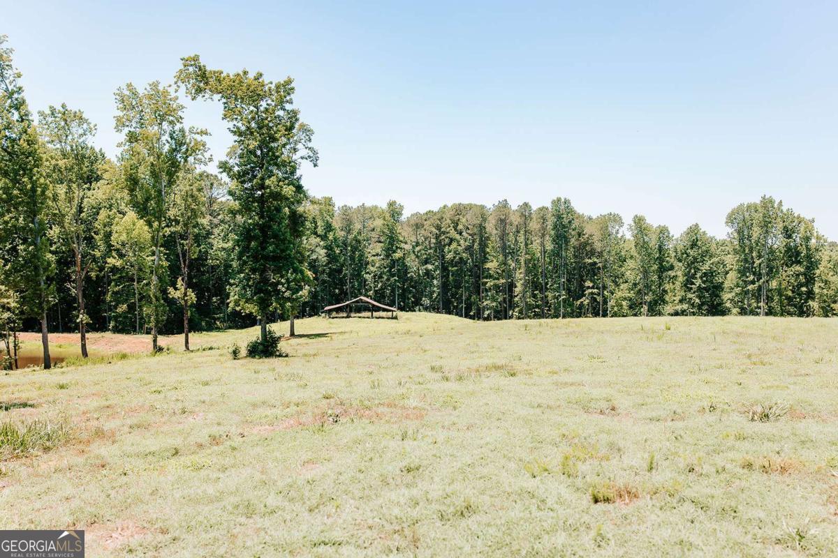 0 Mitchell Farm Road Colbert, GA 30628 - Photo 20 of 45
