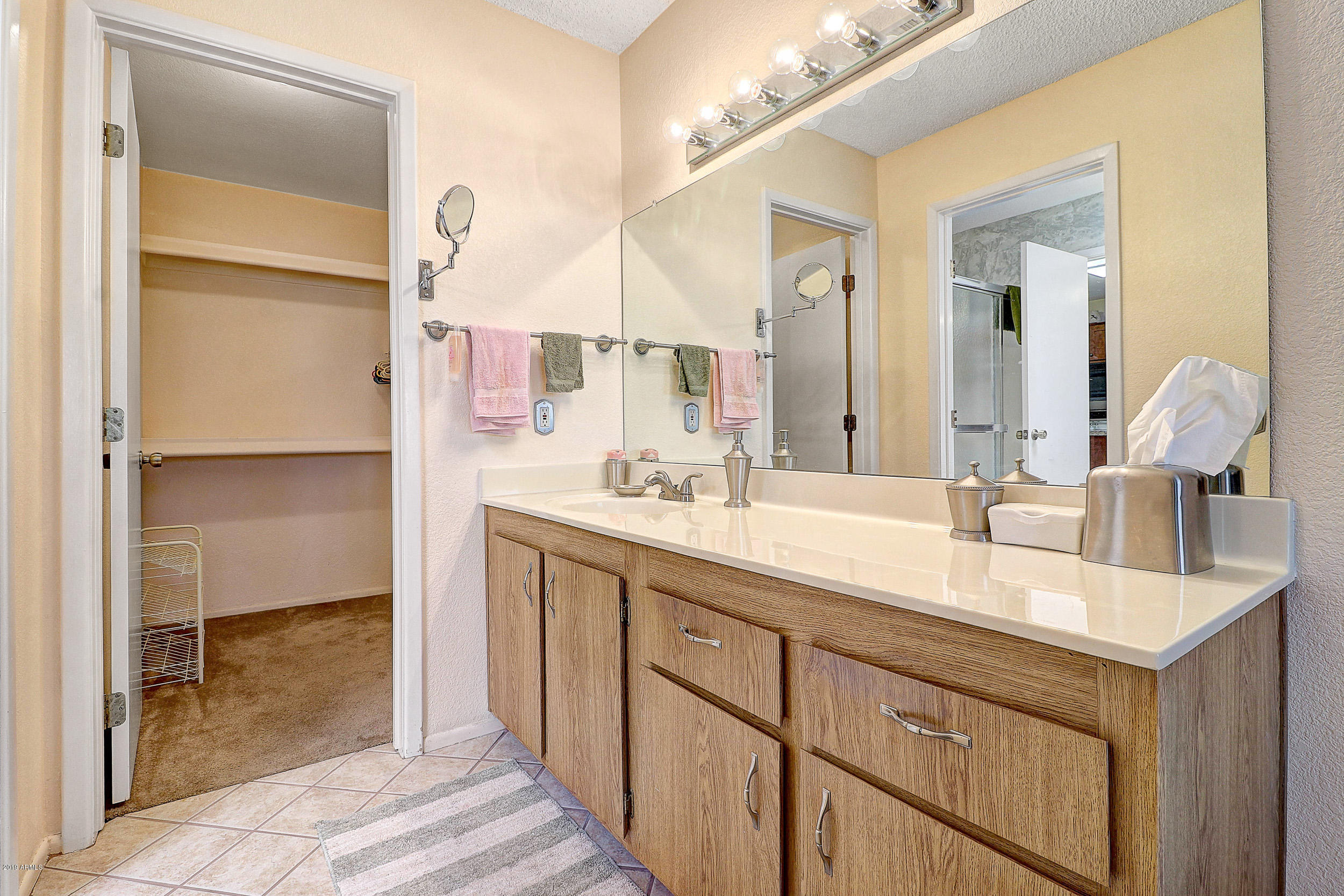 14300 West Bell Road, Unit 442 Surprise, AZ 85374 - Photo 14 of 44 Large Main Master Bath Vanity