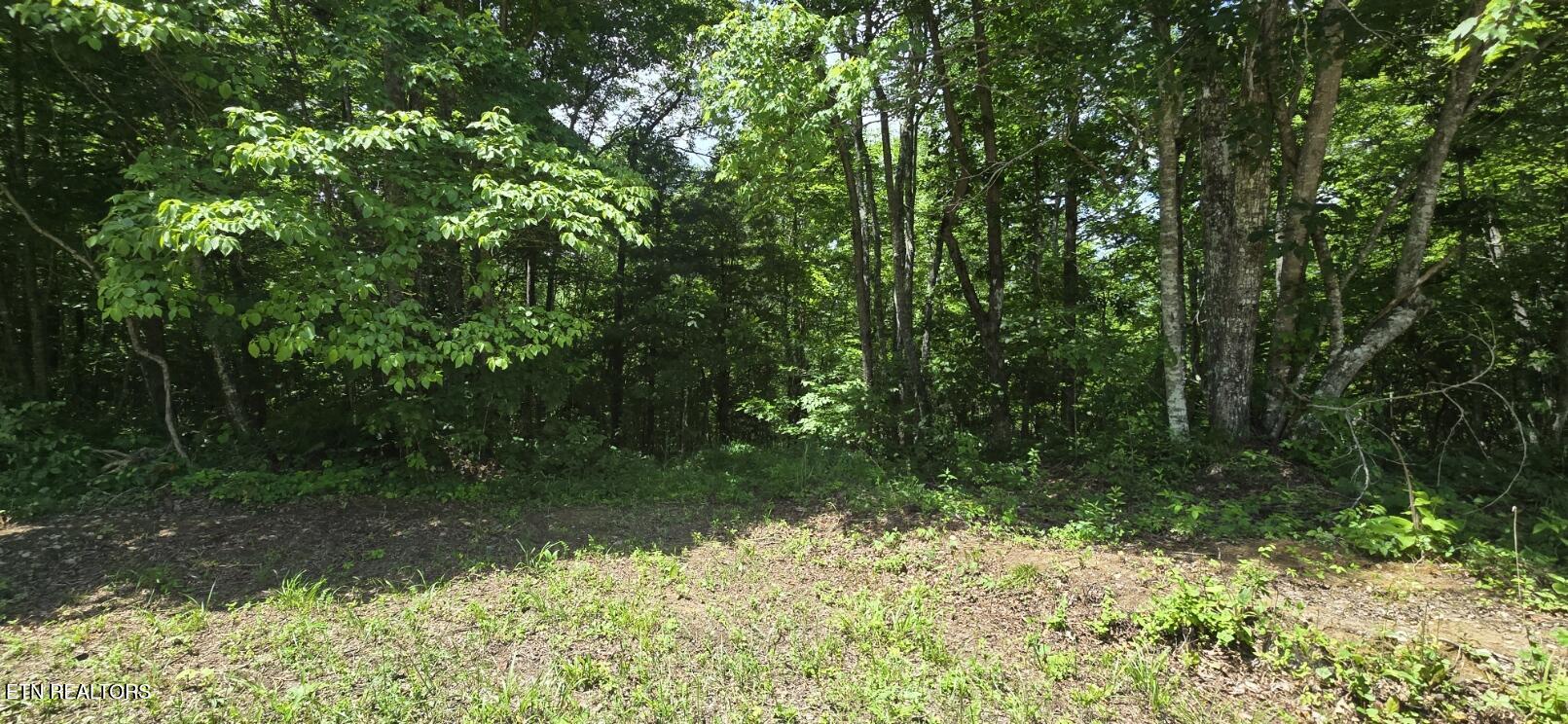 0 Sheep Ranch Road Robbins, TN 37852 - Photo 13 of 29 20260528_124713