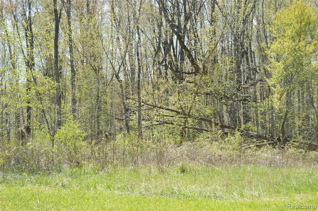 5181 Morrice Road Webberville, MI 48892 - Photo 52 of 58