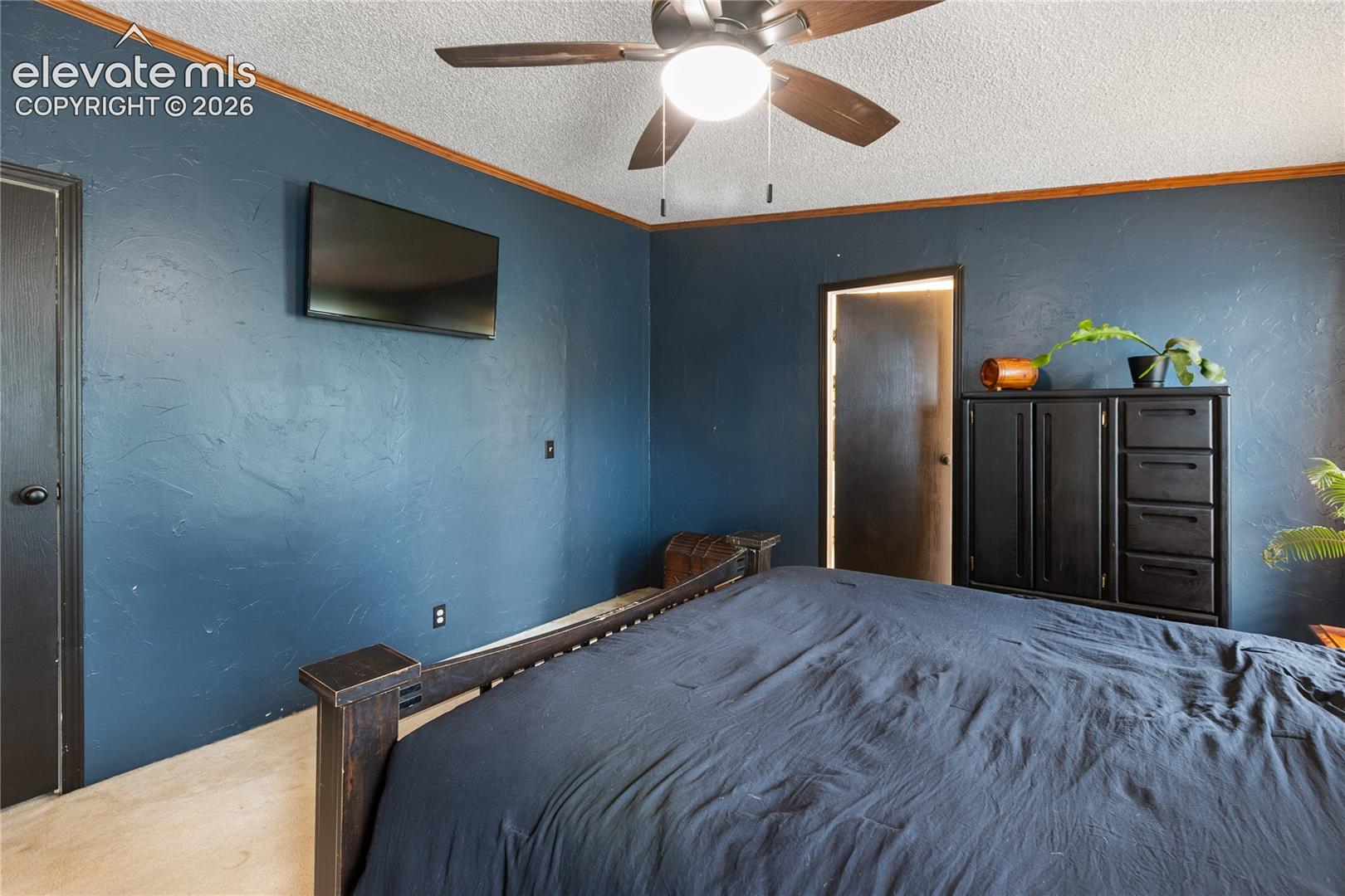 1395 Doe Valley Road Guffey, CO 80820 - Photo 38 of 43 Gallery Image 38