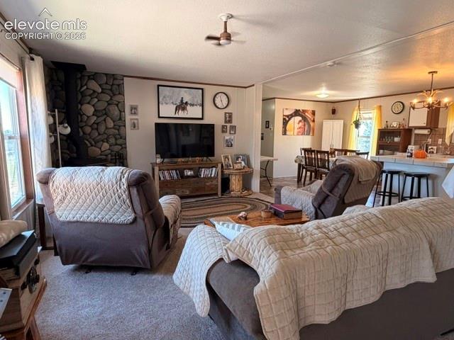 8084 Oak Drive Rye, CO 81069 - Photo 20 of 39 Gallery Image 20