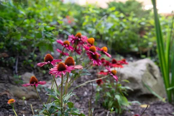 $535,000 | 722 7th Street Southwest, Rochester, MN 55902