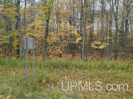 Tbd Whitefish Road Chatham, MI 49816 - Photo 6 of 30