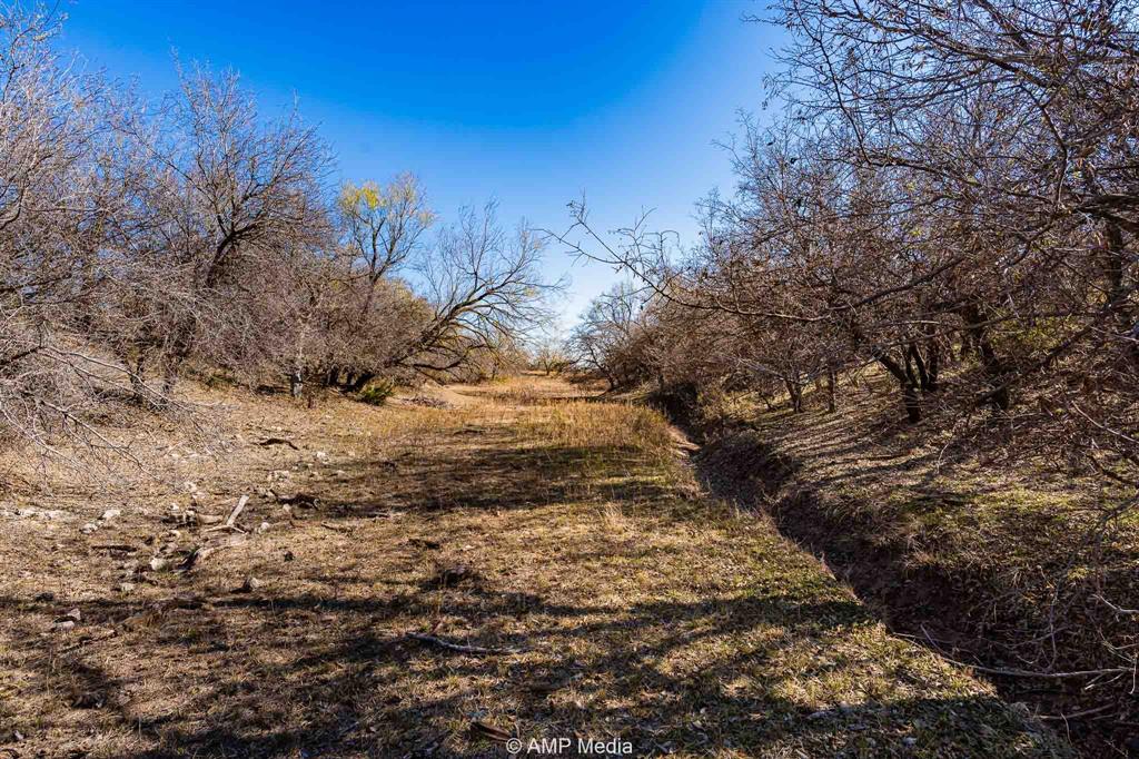 Cr Cr 450th Roscoe, TX 79545 - Photo 22 of 39 a view of a yard with trees in the background
