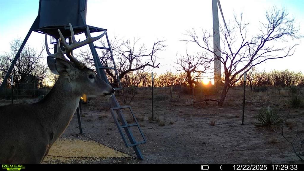Cr Cr 450th Roscoe, TX 79545 - Photo 23 of 39 a backyard of a house with lots of green space