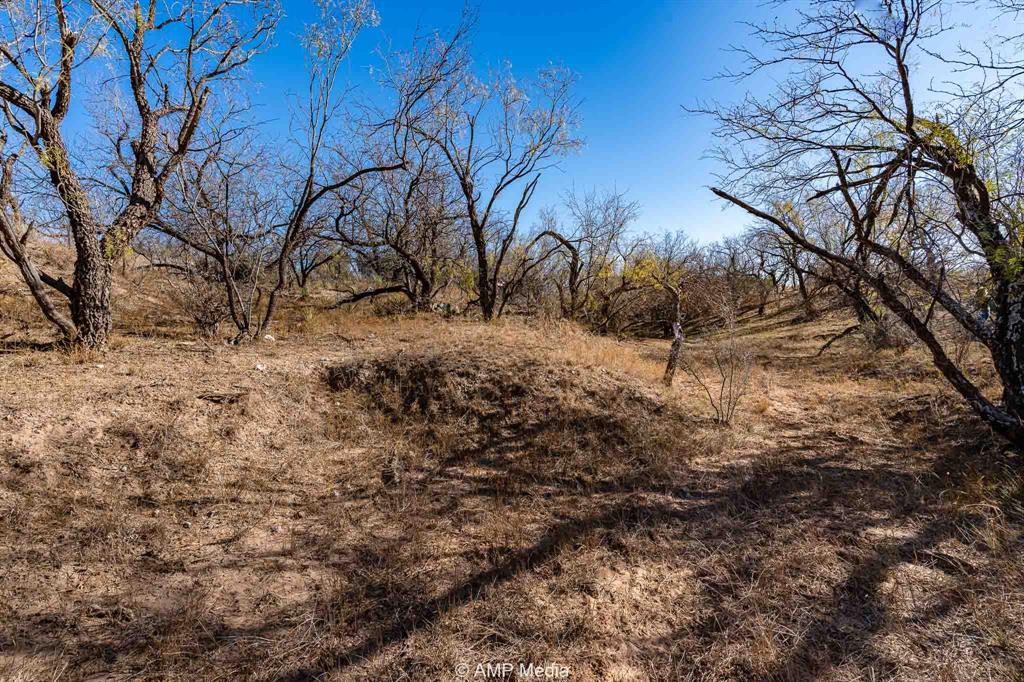 Cr Cr 450th Roscoe, TX 79545 - Photo 24 of 39 a view of a yard