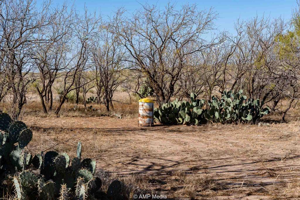 Cr Cr 450th Roscoe, TX 79545 - Photo 25 of 39 a view of a yard with trees