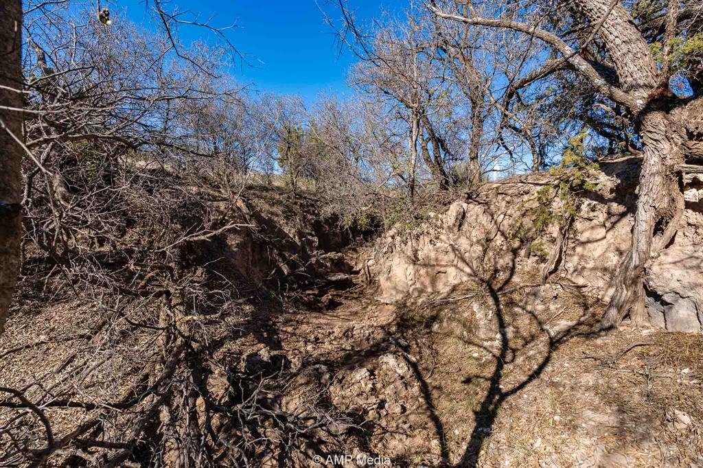 Cr Cr 450th Roscoe, TX 79545 - Photo 26 of 39 a backyard of a house with lots of green space