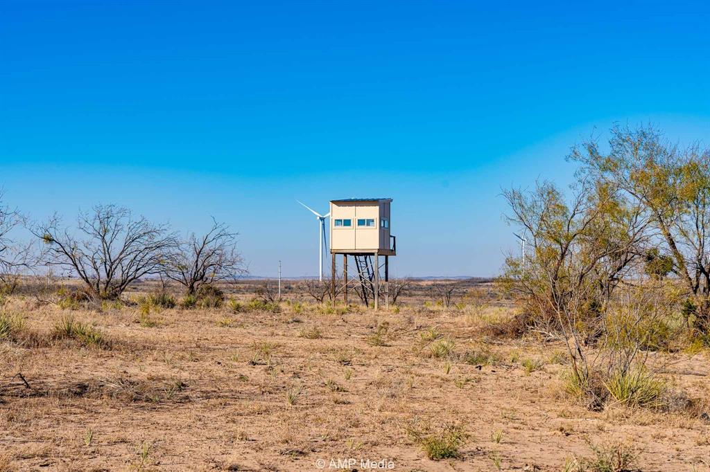 Cr Cr 450th Roscoe, TX 79545 - Photo 28 of 39 a view of a yard with a tree
