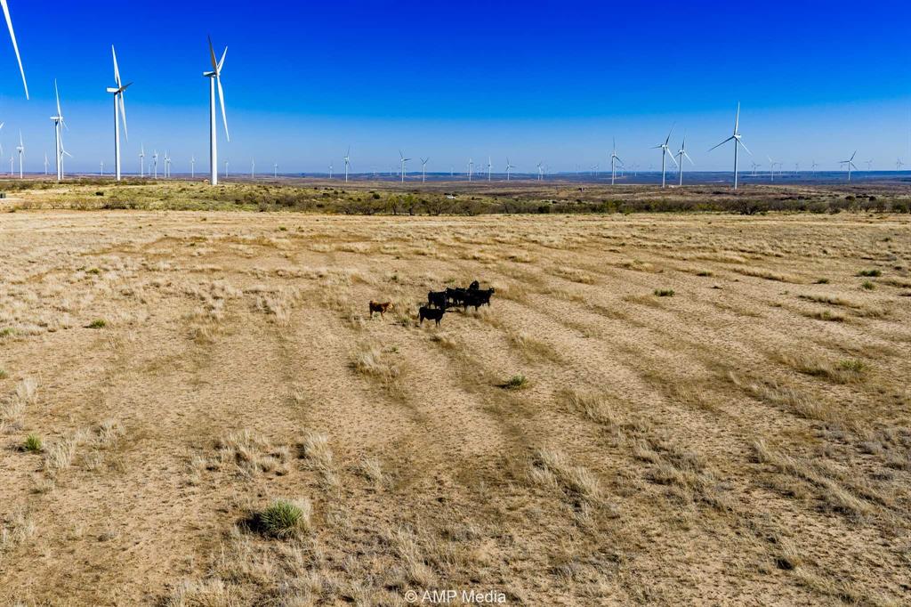 Cr Cr 450th Roscoe, TX 79545 - Photo 31 of 39 a view of an ocean