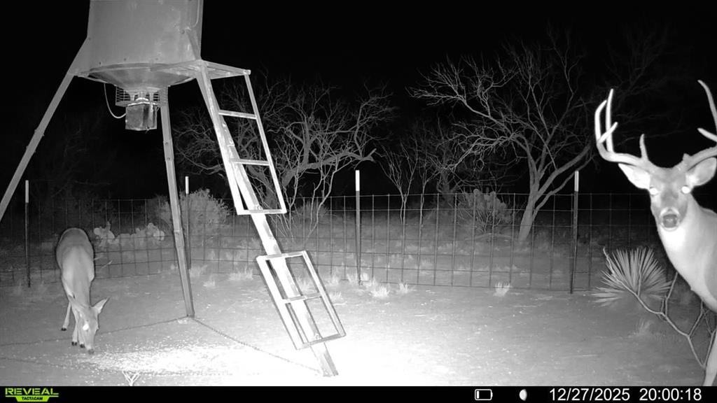 Cr Cr 450th Roscoe, TX 79545 - Photo 33 of 39 a view of entryway and hall
