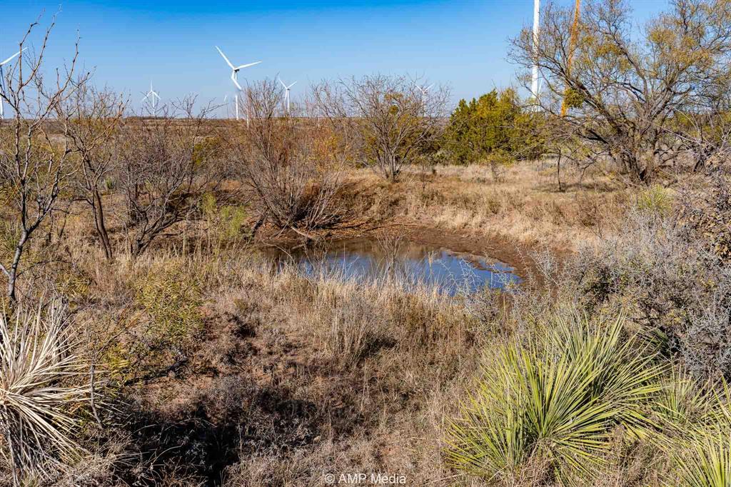 Cr Cr 450th Roscoe, TX 79545 - Photo 34 of 39 a view of a lake