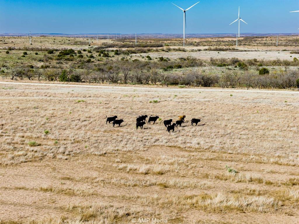 Cr Cr 450th Roscoe, TX 79545 - Photo 37 of 39 a view of an ocean beach