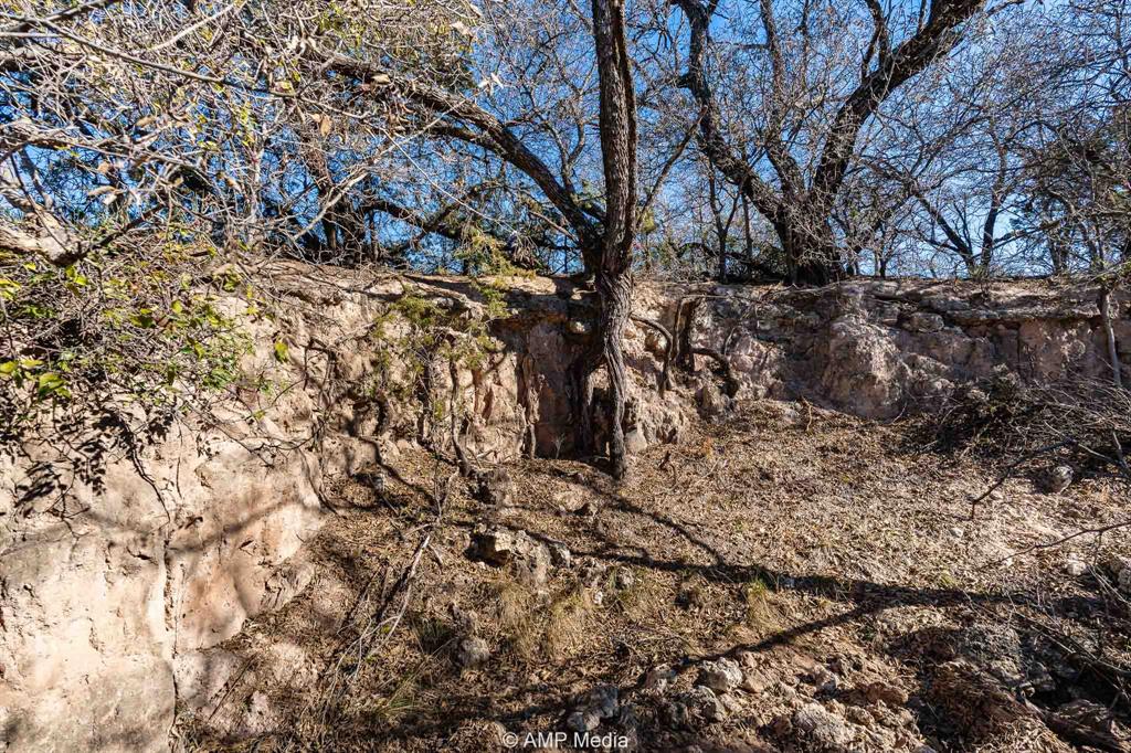 Cr Cr 450th Roscoe, TX 79545 - Photo 5 of 39 a view of a yard with large trees
