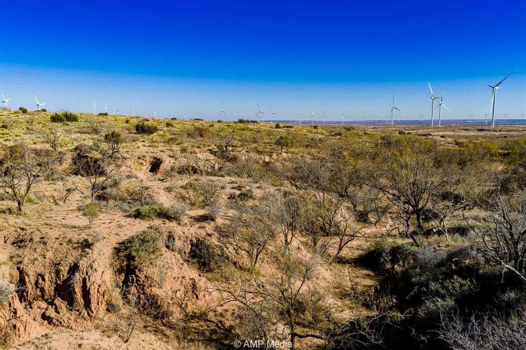 Cr Cr 450th Roscoe, TX 79545 - Photo 7 of 39 a view of a big yard