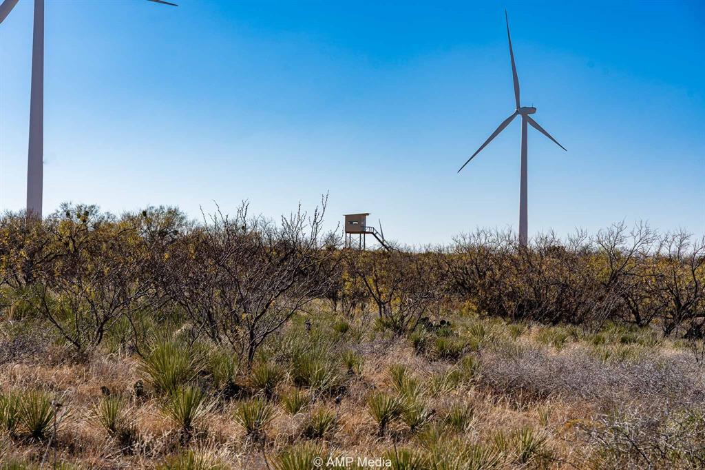 Cr Cr 450th Roscoe, TX 79545 - Photo 9 of 39 a view of a field