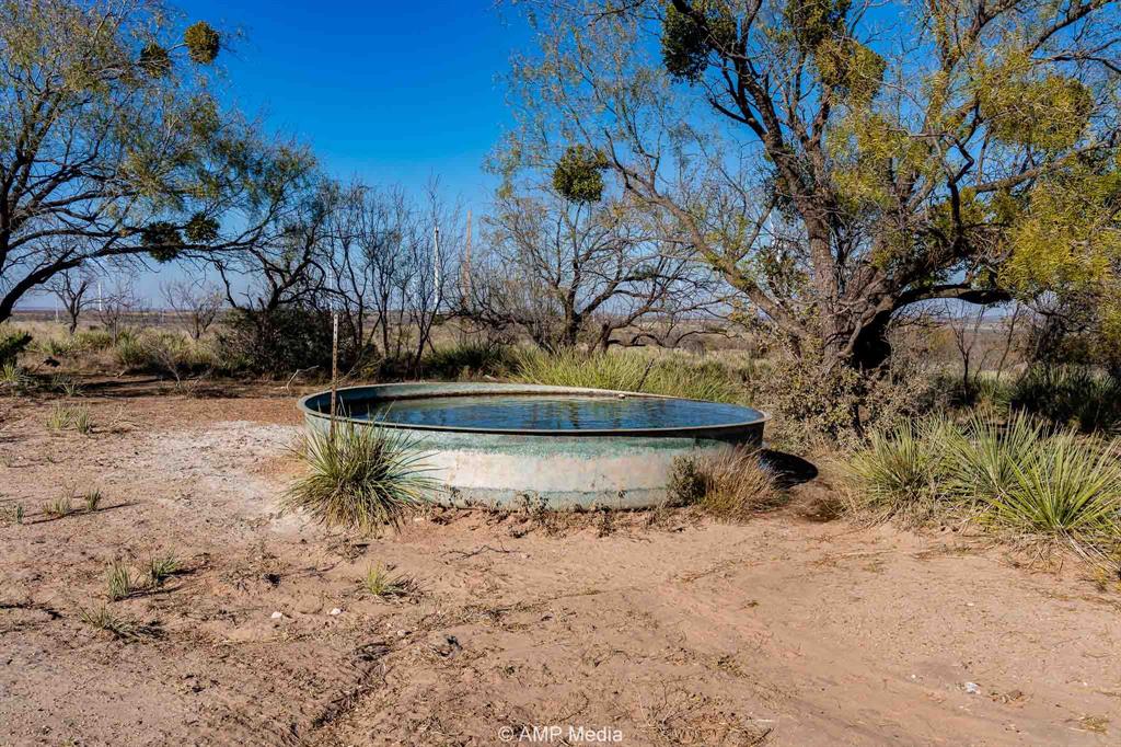 Cr Cr 450th Roscoe, TX 79545 - Photo 10 of 39 a view of a yard with trees