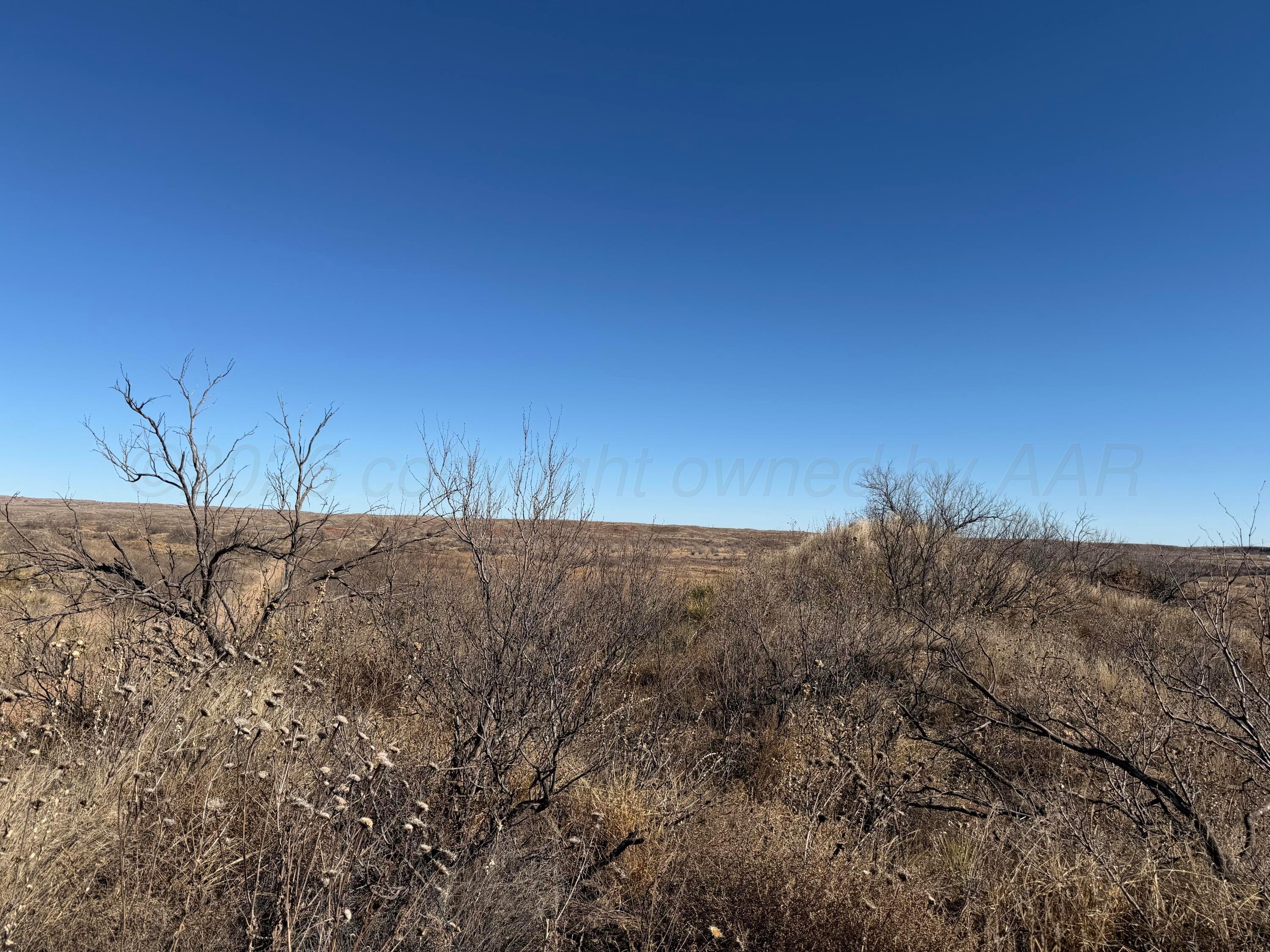 25101 Kangarosa Road Amarillo, TX 79124 - Photo 11 of 12 IMG_0612