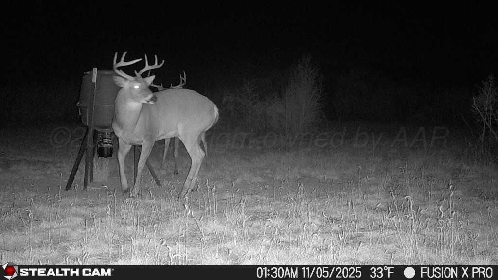 25101 Kangarosa Road Amarillo, TX 79124 - Photo 7 of 12 25110501305001004524_ColorizationType.no