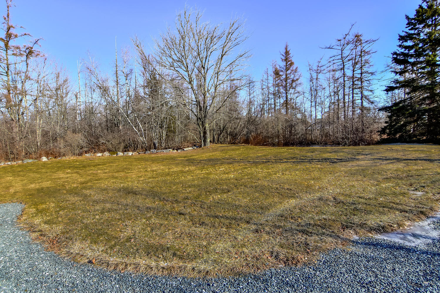 475 Reach Road Sedgwick, ME 04673 - Photo 27 of 29 Backyard