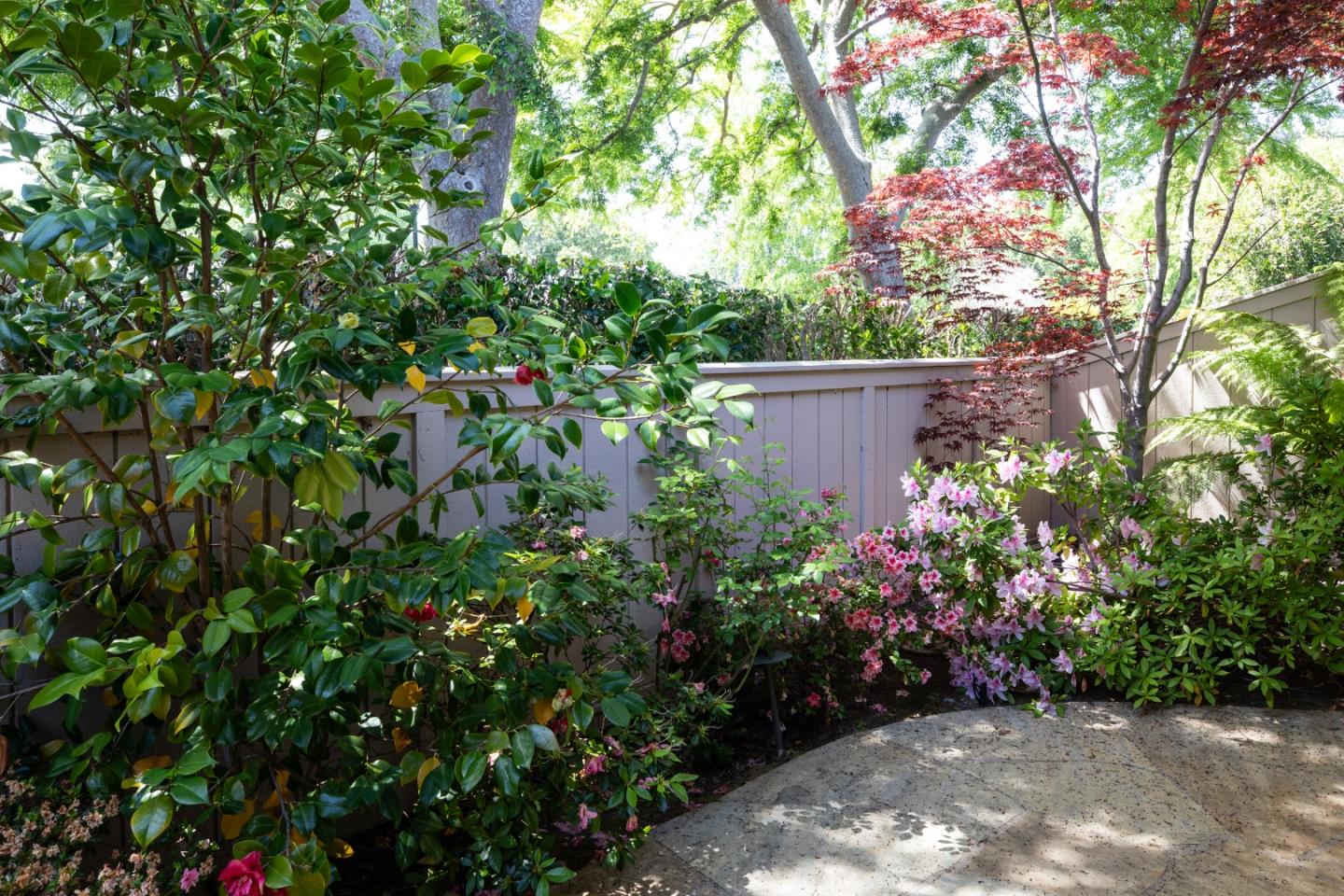 70 Bay Tree Lane Los Altos, CA 94022 - Photo 24 of 37 a view of a garden with plants and a fountain