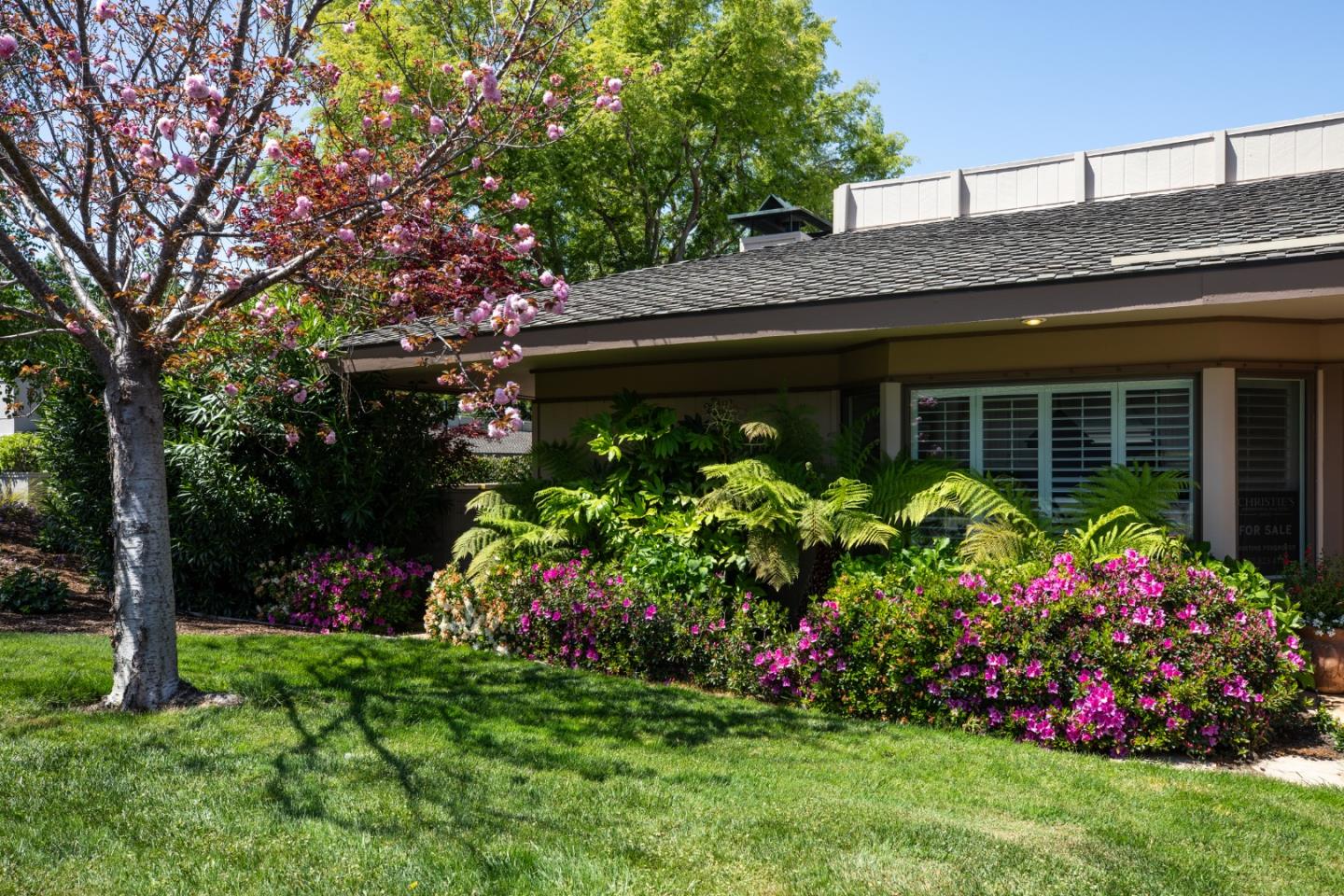 70 Bay Tree Lane Los Altos, CA 94022 - Photo 3 of 37 a front view of a house with a yard and potted plants