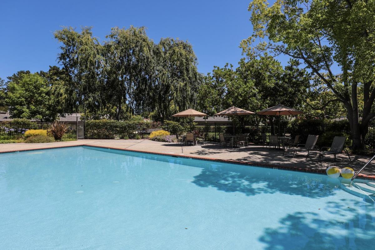 70 Bay Tree Lane Los Altos, CA 94022 - Photo 35 of 37 a view of a backyard with swimming pool