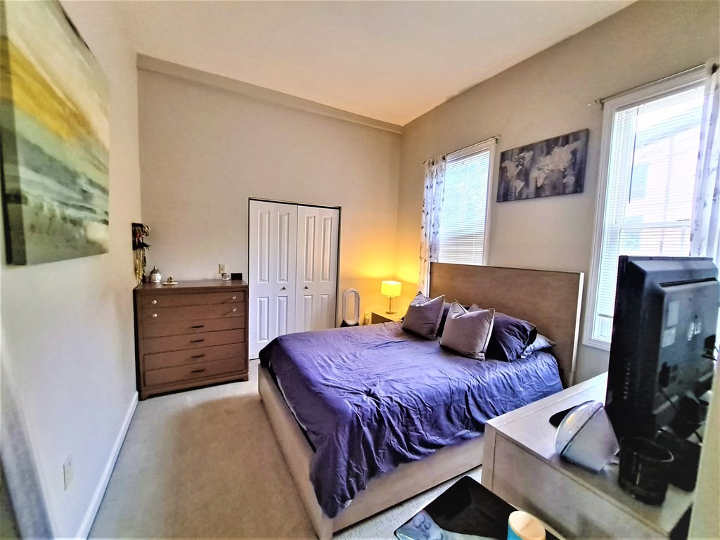 49 Cedar Street, Unit 1 REAR Boston, MA 02119 - Photo 13 of 15