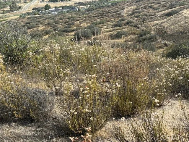 17 Ginter Hemet, CA 92544 - Photo 8 of 16 flat area