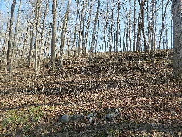 233 Dripping Spring Road Bronston, KY 42518 - Photo 1 of 2 Primary Photo