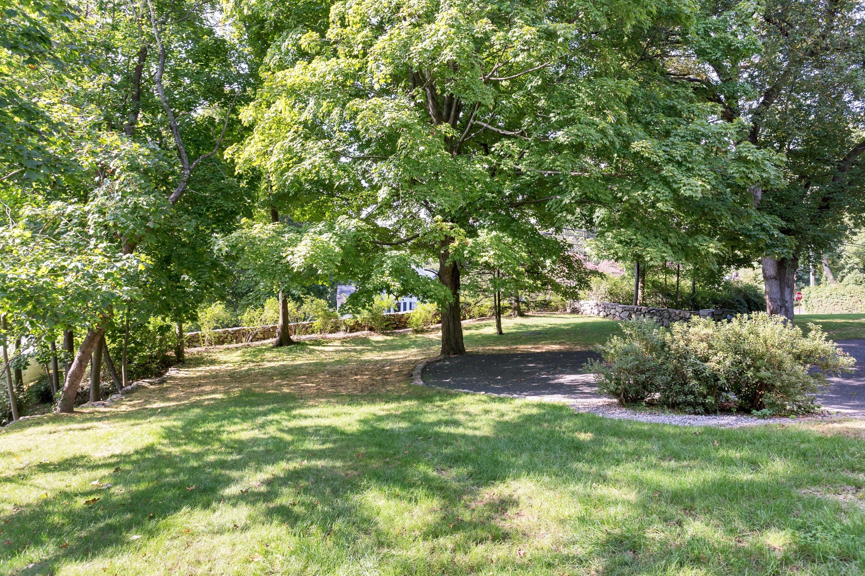 1 Wilson Ridge Road Darien, CT 06820 - Photo 21 of 22 a view of a tree in a yard