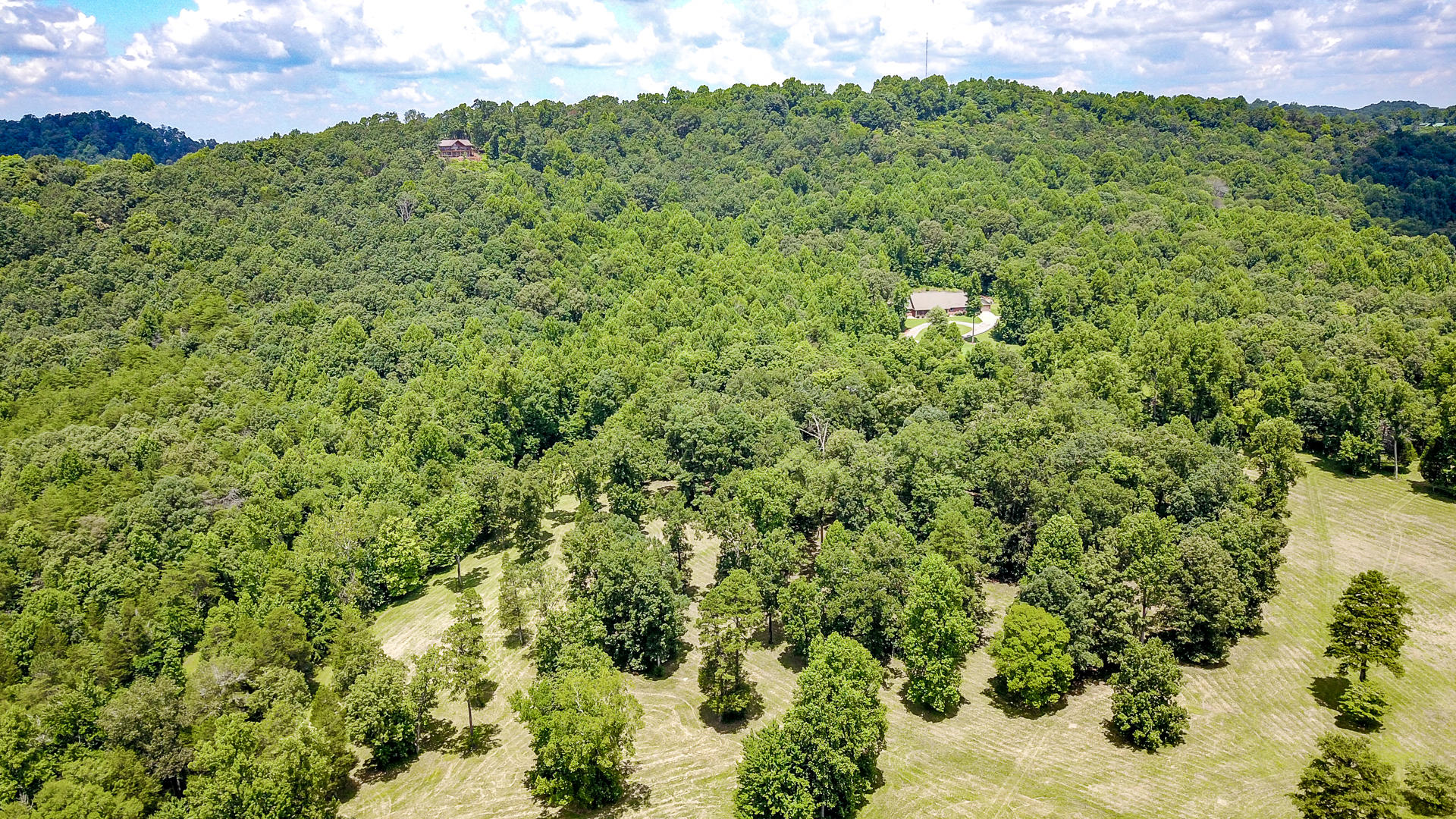 2 Brunner Road Sweetwater, TN 37874 - Photo 14 of 18 DSC1930-2