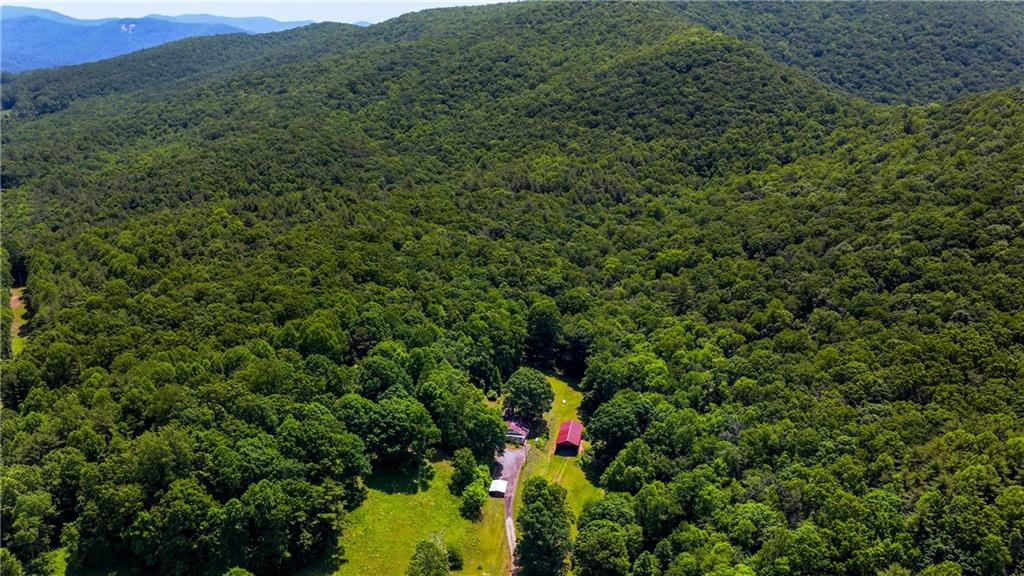 239 Glen Elliott Road Suches, GA 30572 - Photo 10 of 32