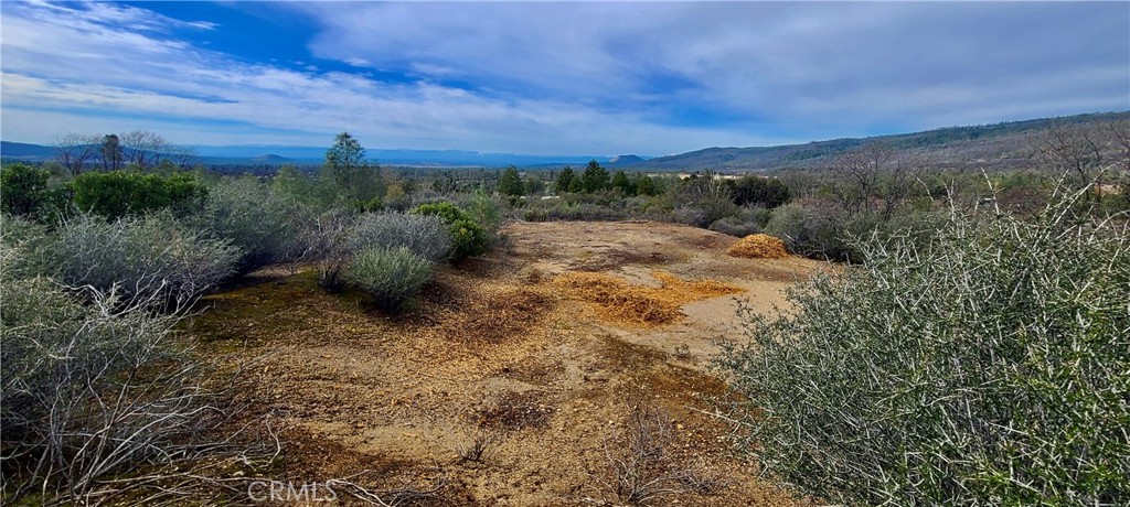 13 Battle View Drive Manton, CA 96059 - Photo 11 of 19