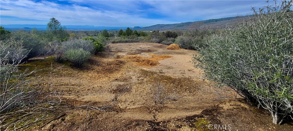 13 Battle View Drive Manton, CA 96059 - Photo 12 of 19